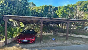 Un'auto rossa parcheggiata sotto una pergola in legno, con uno sfondo naturale di alberi e cielo sereno.