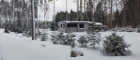A snow-covered forest with a cabin.