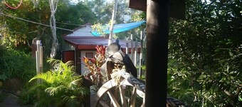 环球旅舍