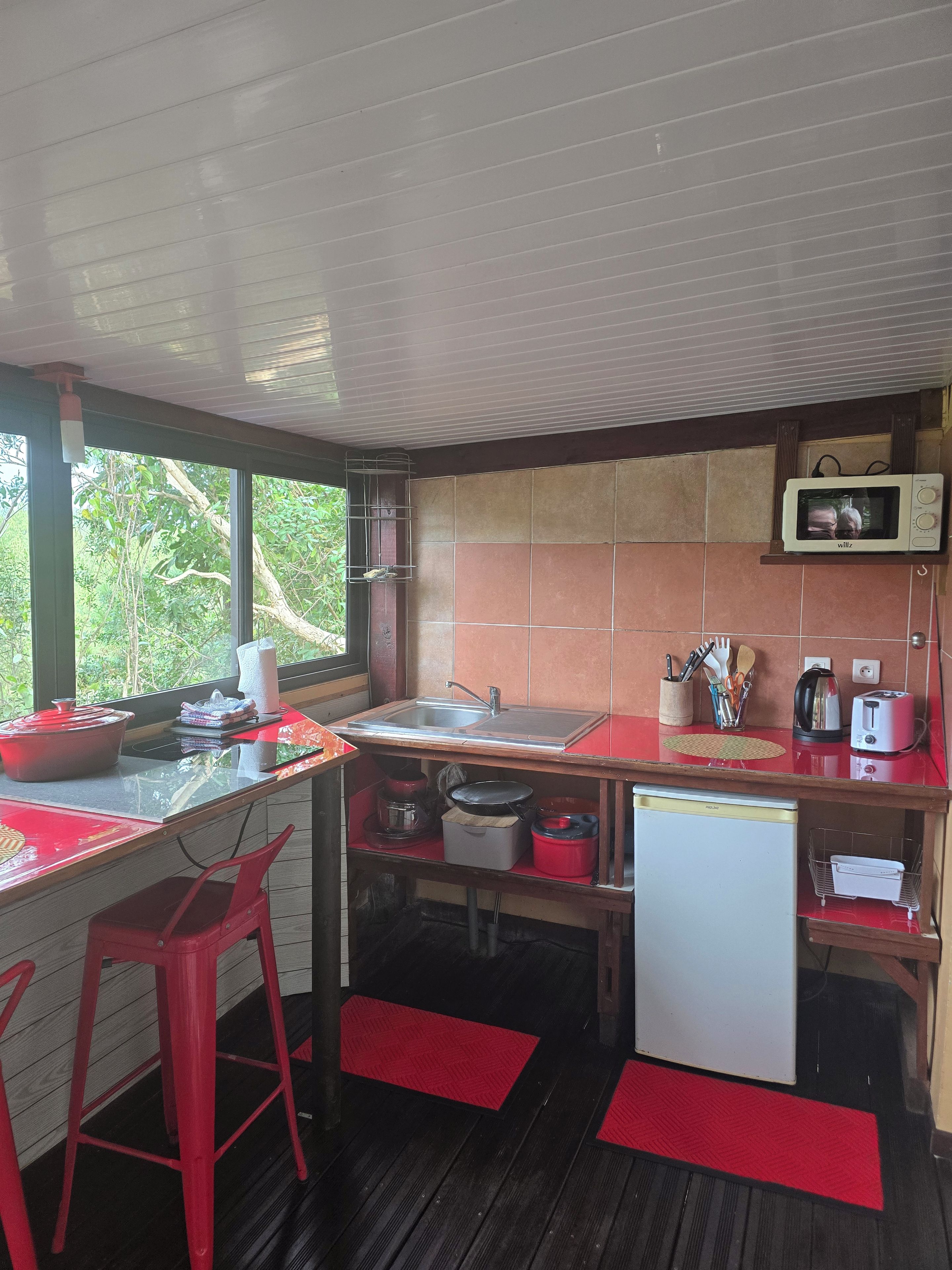 A compact kitchen with a sink, a microwave, and a small refrigerator.