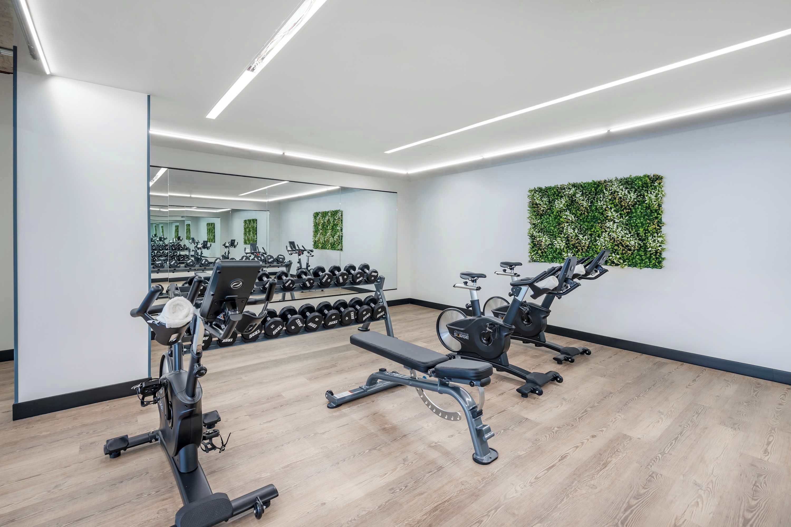 Ein modernes Fitnessstudio mit Cardiogeräten, Kurzhanteln und einer Spiegelwand.
