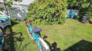 Ein Fahrrad steht auf einer grünen Wiese, im Hintergrund ein weißes Gebäude und ein Busch.