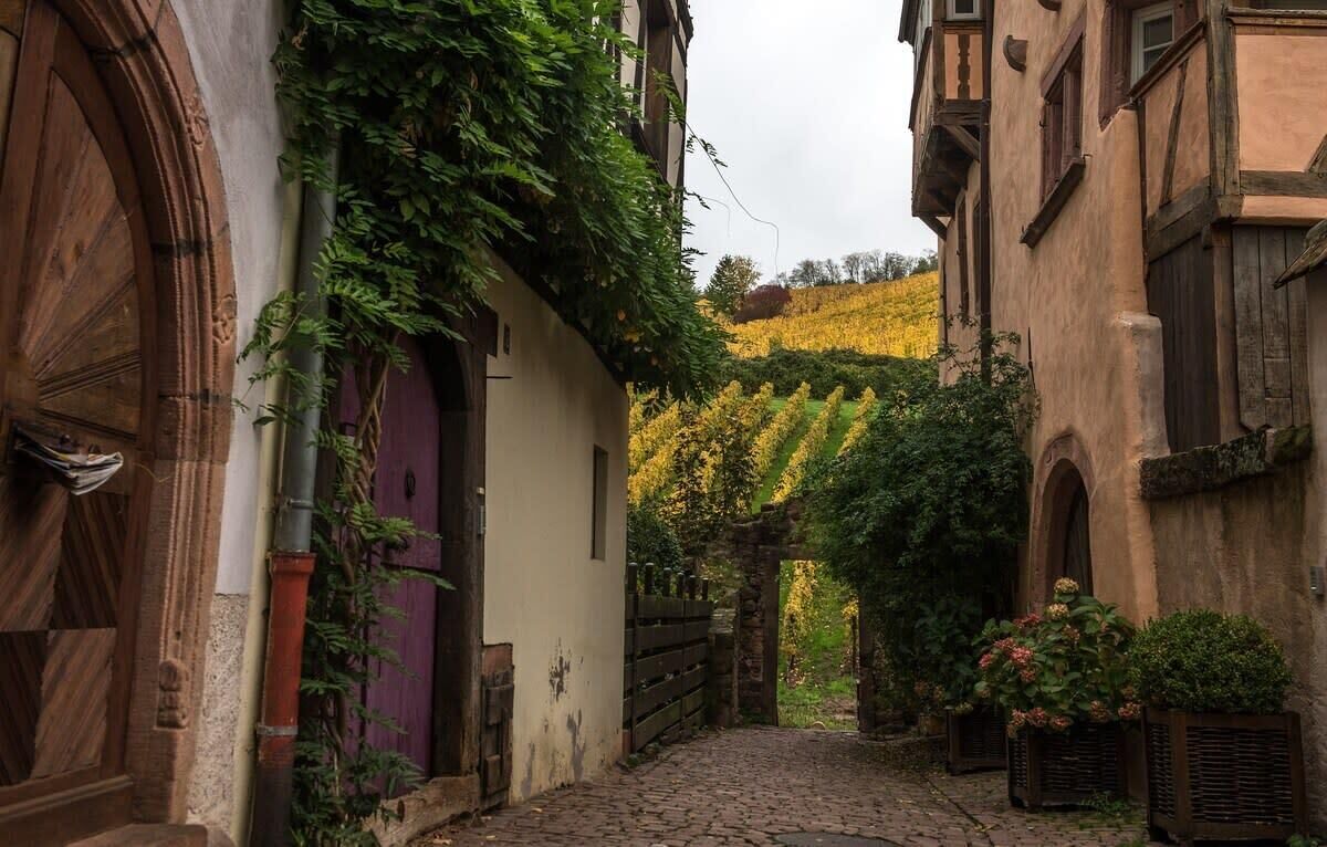 Une ruelle étroite pavée, bordée d’immeubles aux portes et fenêtres en bois, qui mène à un vignoble où s’étendent des rangées de vignes.
