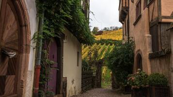 Une ruelle étroite pavée, bordée d’immeubles aux portes et fenêtres en bois, qui mène à un vignoble où s’étendent des rangées de vignes.