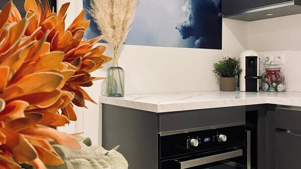 A modern kitchen with a glass-top table, a decorative plant, and a wall-mounted painting. - Cozy T2 (1-bedroom) with vineyard view (Rosheim)