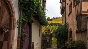A narrow cobblestone street flanked by buildings with wooden doors and windows, leading to a vineyard with rows of grapevines. - Sublime Studio, 2 terrasses + vue sur le vignoble (Rosheim)