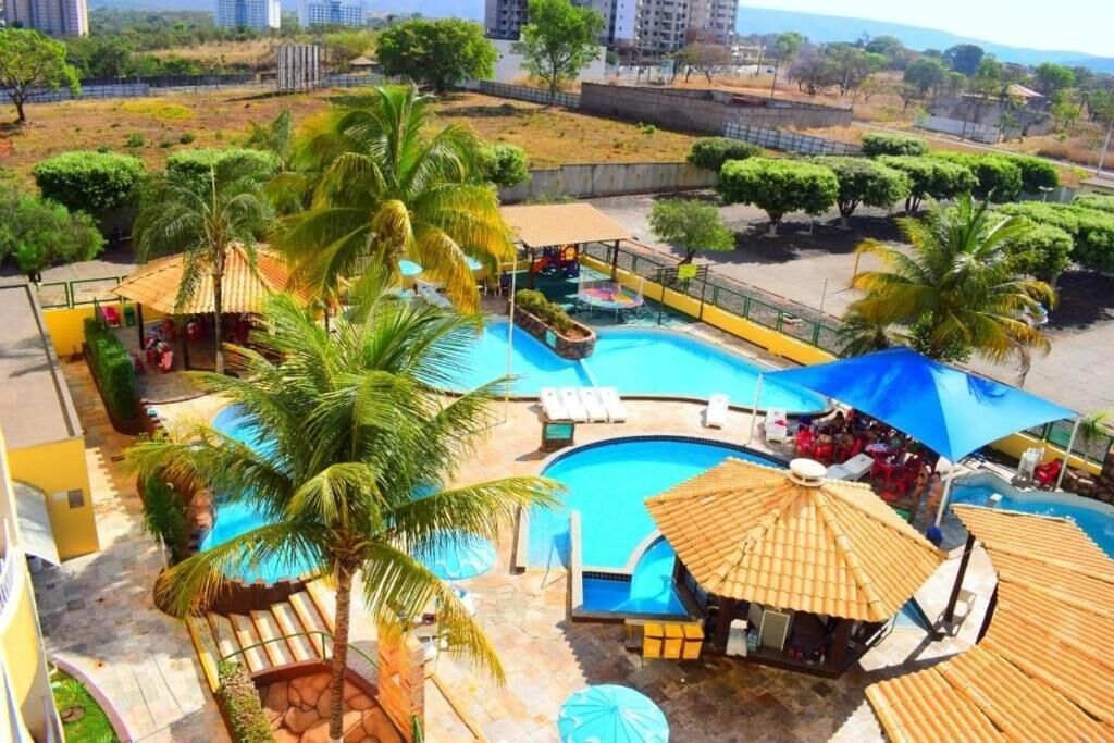 Un espace piscine aménagé avec des chaises longues, des parasols et des palmiers.
