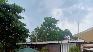 Ein Pool mit einer Metallleiter, umgeben von einer Terrasse mit Gartenmöbeln und Blumentöpfen.