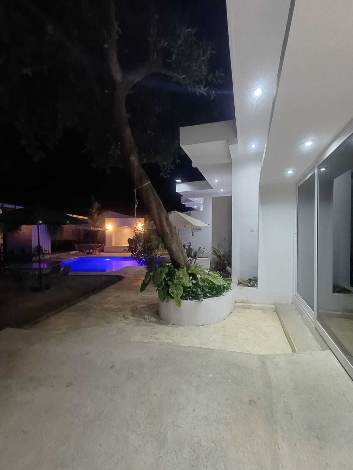 Un edificio moderno con piscina, un árbol y un macetero con plantas.