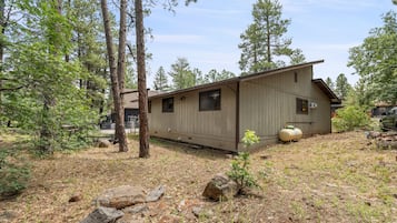 A cabin with a single window and a door, surrounded by trees and a rocky ground.
