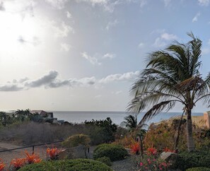 A coastal landscape with a view of the sea, palm trees, and a variety of vegetation. -  Pristine 6 bed 6 bath villa in the islands premier gated community!!! (Christiansted)