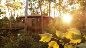Exterior - Orlando | Family Treehouse Retreat | Pool + Spa (Lake Buena Vista)