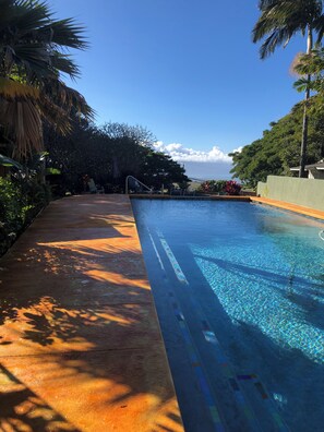 En swimmingpool med krystalklart vand, omgivet af grønt og udsigt til havet.