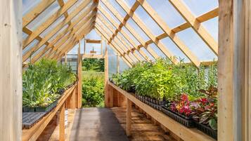 House, 1 King Bed (Layla at Salt Water Farm) | View from room