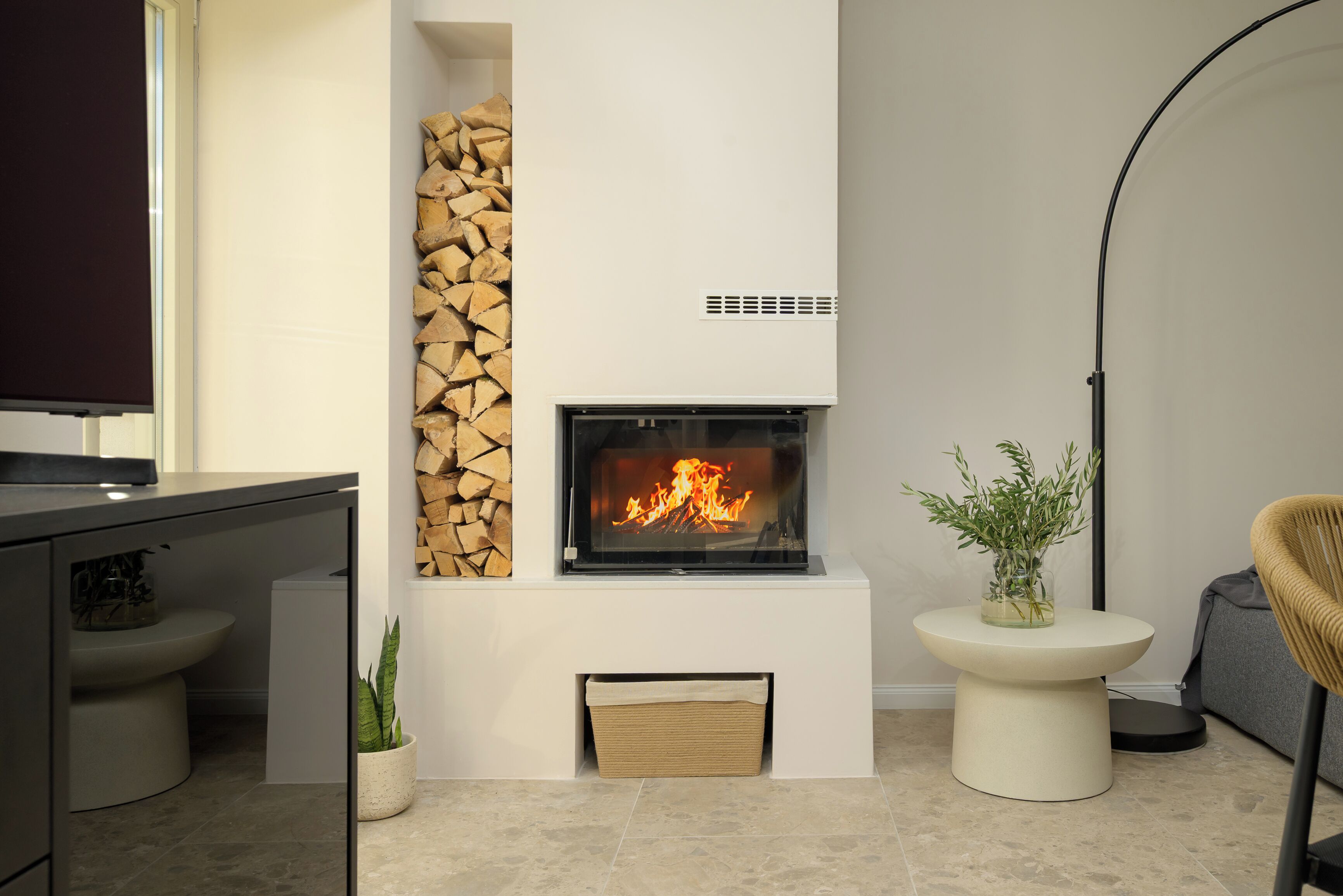 Una sala de estar moderna con chimenea, televisor, planta y lámpara de pie.