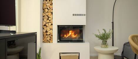A modern living room with a fireplace, a television, a plant, and a floor lamp.