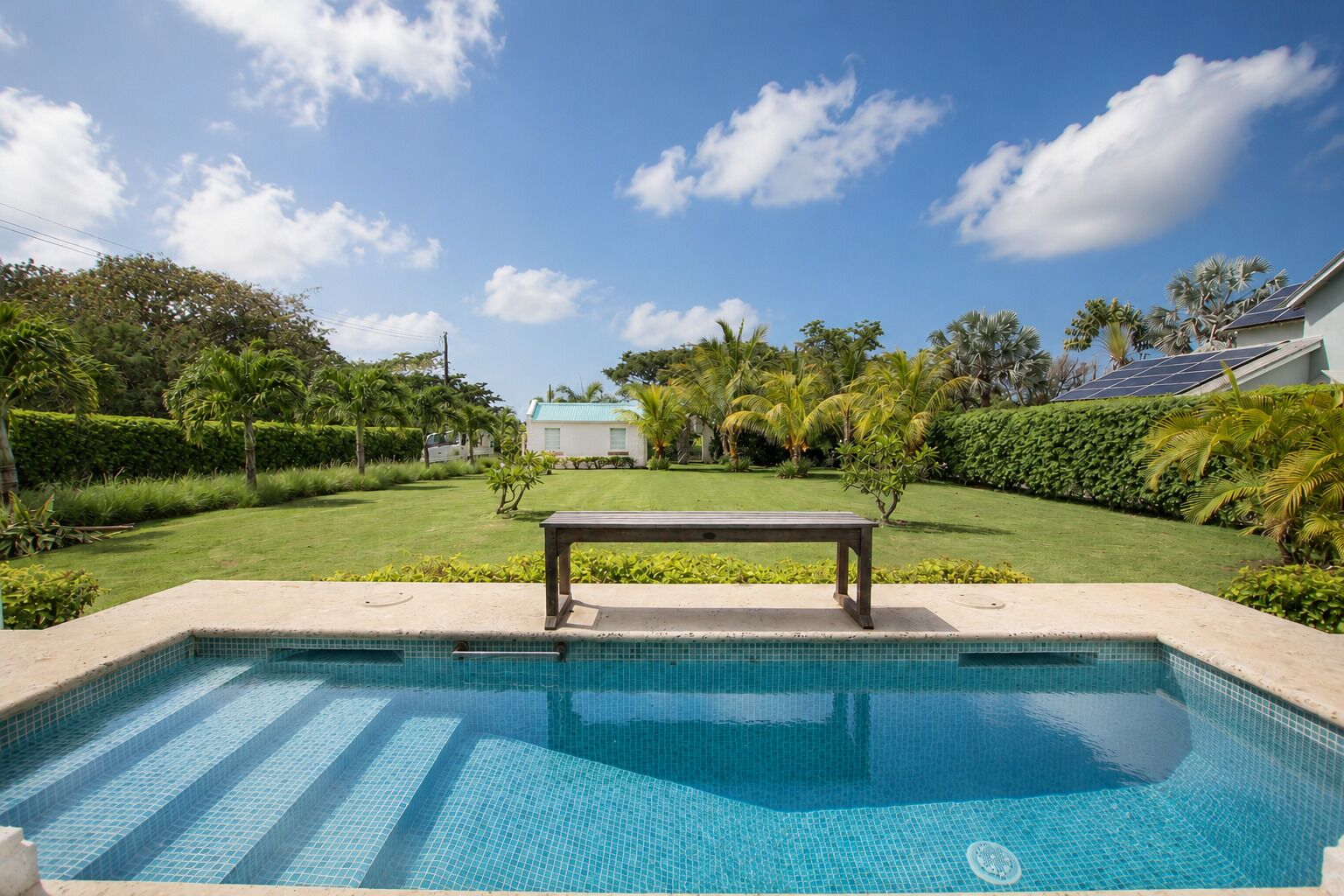 A swimming pool with a bench, surrounded by a well-maintained lawn and palm trees.