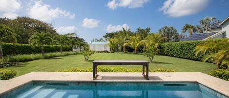 A swimming pool with a bench, surrounded by a well-maintained lawn and palm trees.