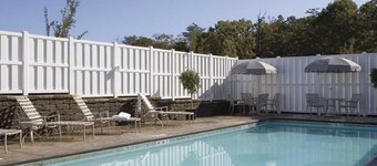 Your First Stop for a Memorable Virginia Escape l Pet-friendly & Modern Room