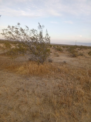 Miscellaneous - Perfect 1-bedroom campground in amazing Hi Vista for outdoor lovers (Hi Vista)