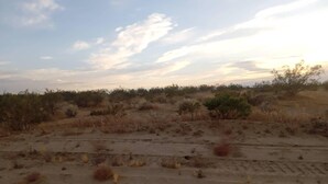 Un paisaje árido y extenso con poca vegetación y cielo despejado.