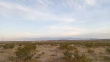 Miscellaneous