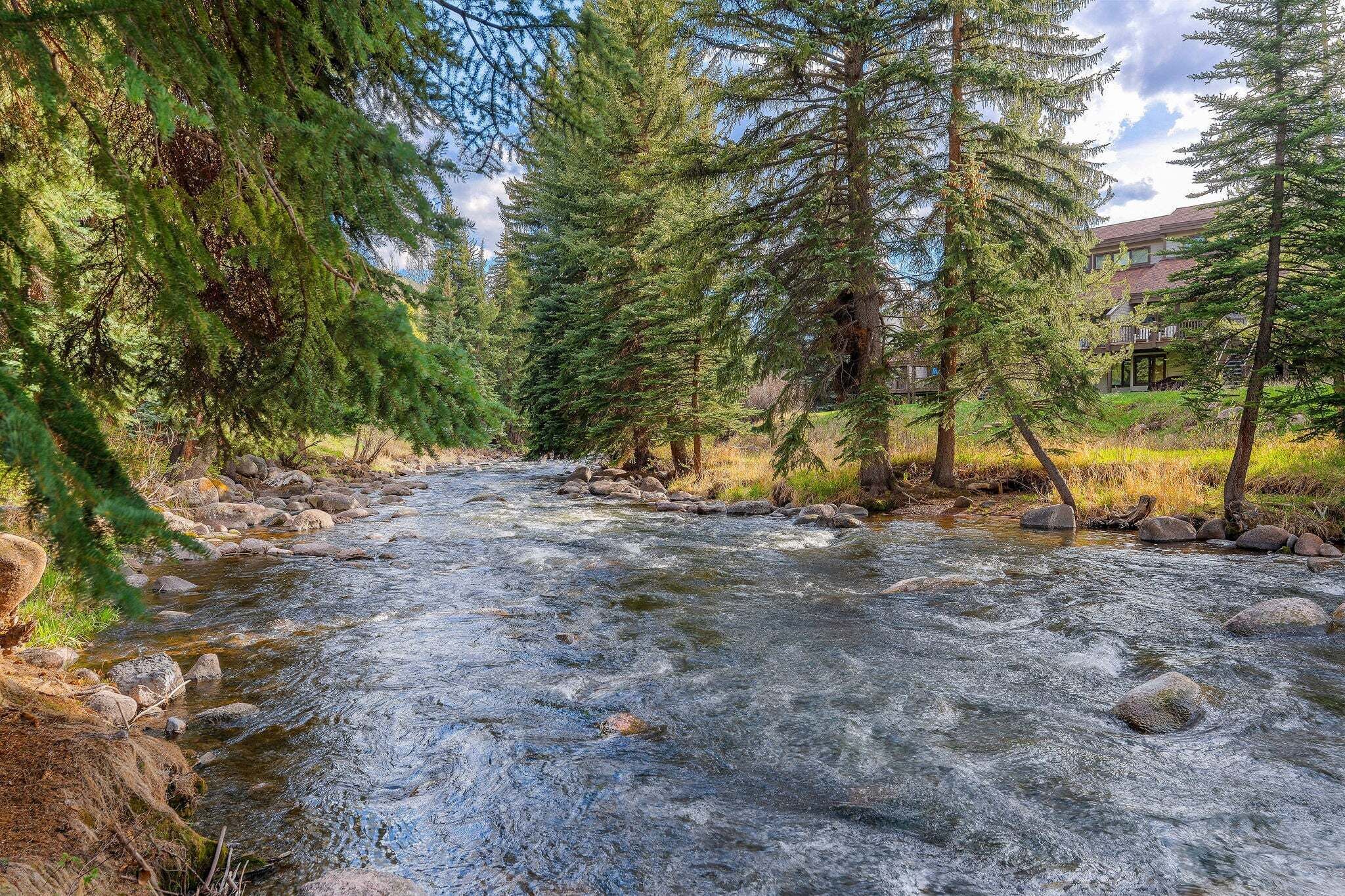 A river flowing through a forested area with a building in the background.