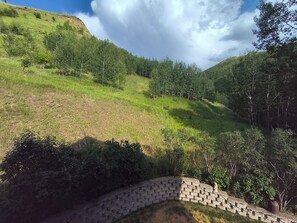 A hillside with a stone retaining wall and a potted plant. - Beautiful Log House 3+ bedroom house in Deadwood with 2 stall garage (Deadwood)