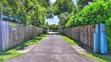 A paved pathway flanked by wooden fences with greenery overhead.