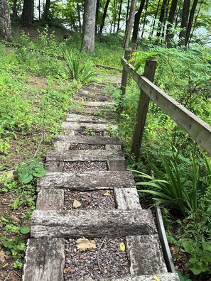 A wooden staircase surrounded by greenery leading to a forested area.