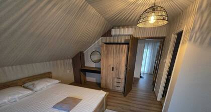 Holiday home with pool, sauna and jacuzzi on a spacious estate near Osijek