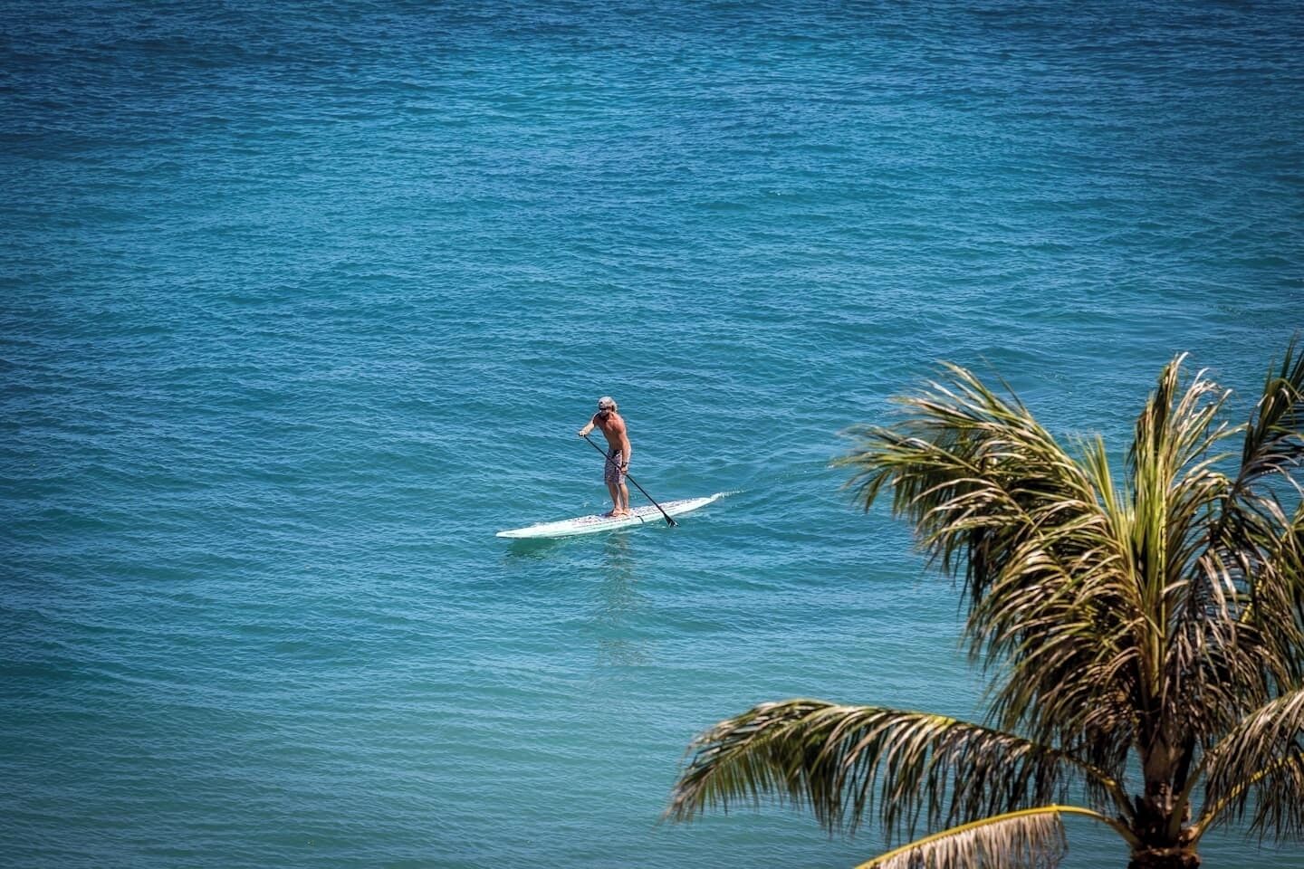 Une personne fait de la planche à pagaie sur une mer calme, avec des palmiers en premier plan.