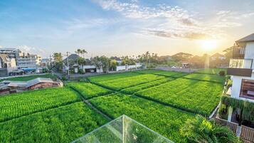 Deluxe Villa, 3 Bedrooms, Private Pool, Garden View | Property grounds