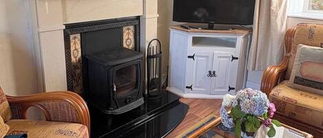 Una televisión, una chimenea