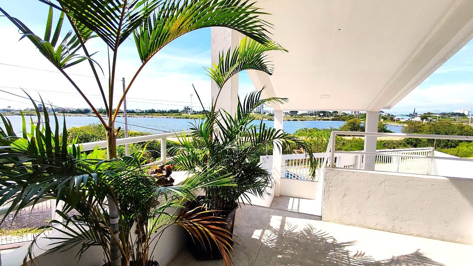 Un balcon agrémenté de plantes en pot, une vue sur la mer et une balustrade blanche.
