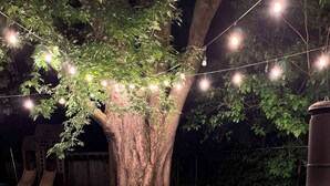Un arbre décoré de guirlandes lumineuses, un foyer extérieur et un toboggan dans un jardin.