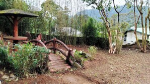 A rustic garden with a wooden bridge, a stone pathway, and a small wooden structure. - The ritz villa Nuwaraeliya (Nuwara Eliya)