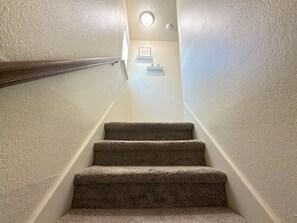 Un escalier recouvert de moquette, doté d’une main courante et d’un luminaire en haut.