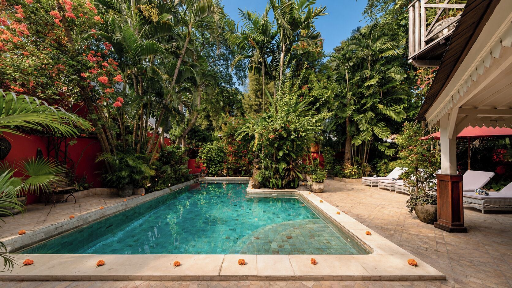 Piscina retangular com borda revestida em azulejo, rodeada por vegetação exuberante e uma parede vermelha.