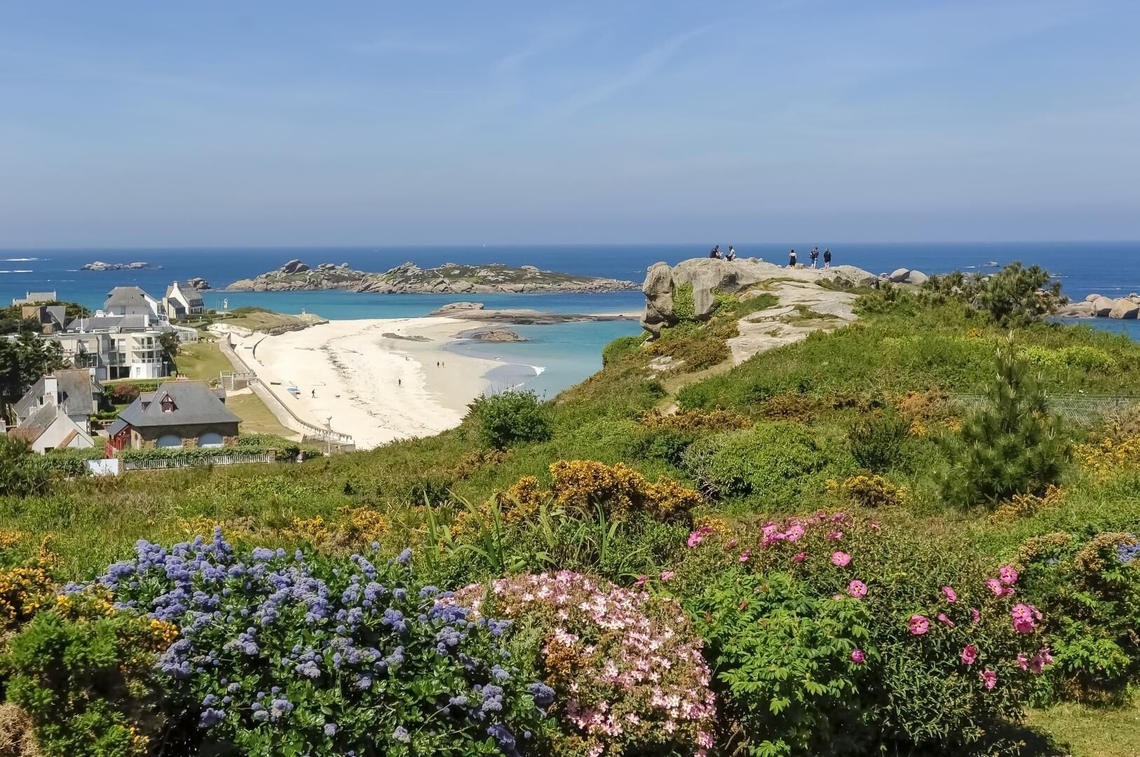 A coastal landscape with a sandy beach, rocky outcrops, and a variety of flowering plants.