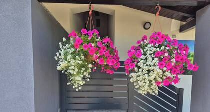 Plitvice Cozy and Modern Blue Apartament With Sauna