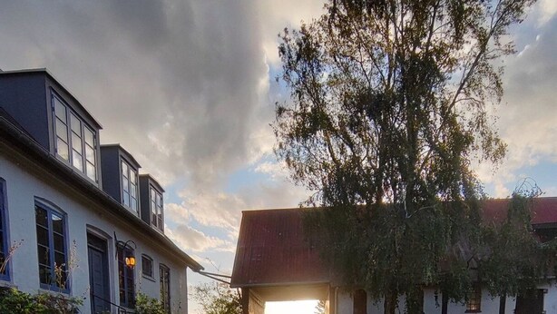 Property grounds - Cosy holiday apartment on Bornholm (Hollændergårde)