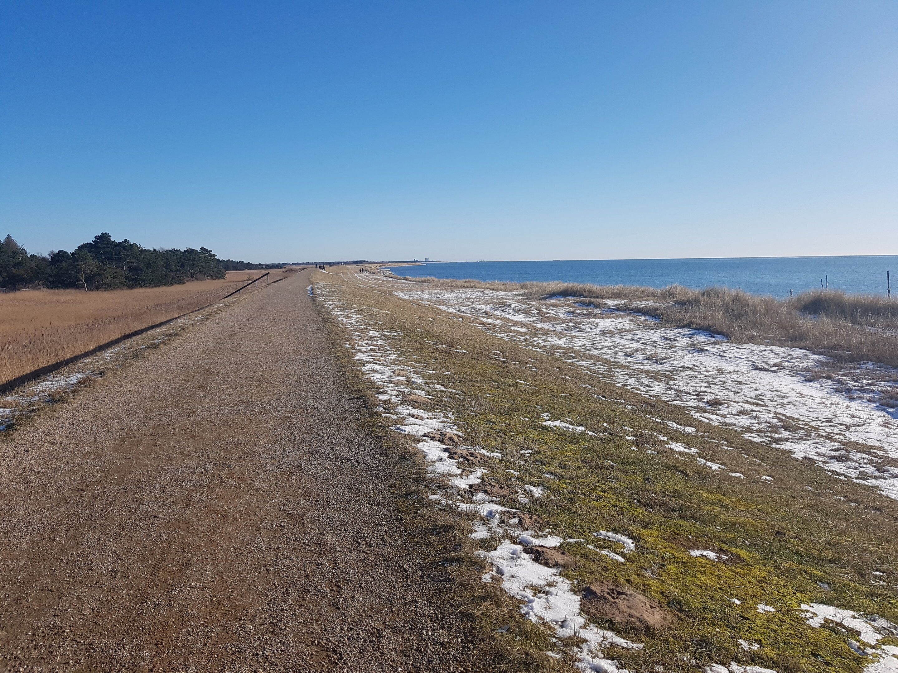 A gravel path leading to a body of water with snow patches on the grass.