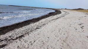 Een zandstrand met een rotsachtige kustlijn en een pier die het water in reikt.