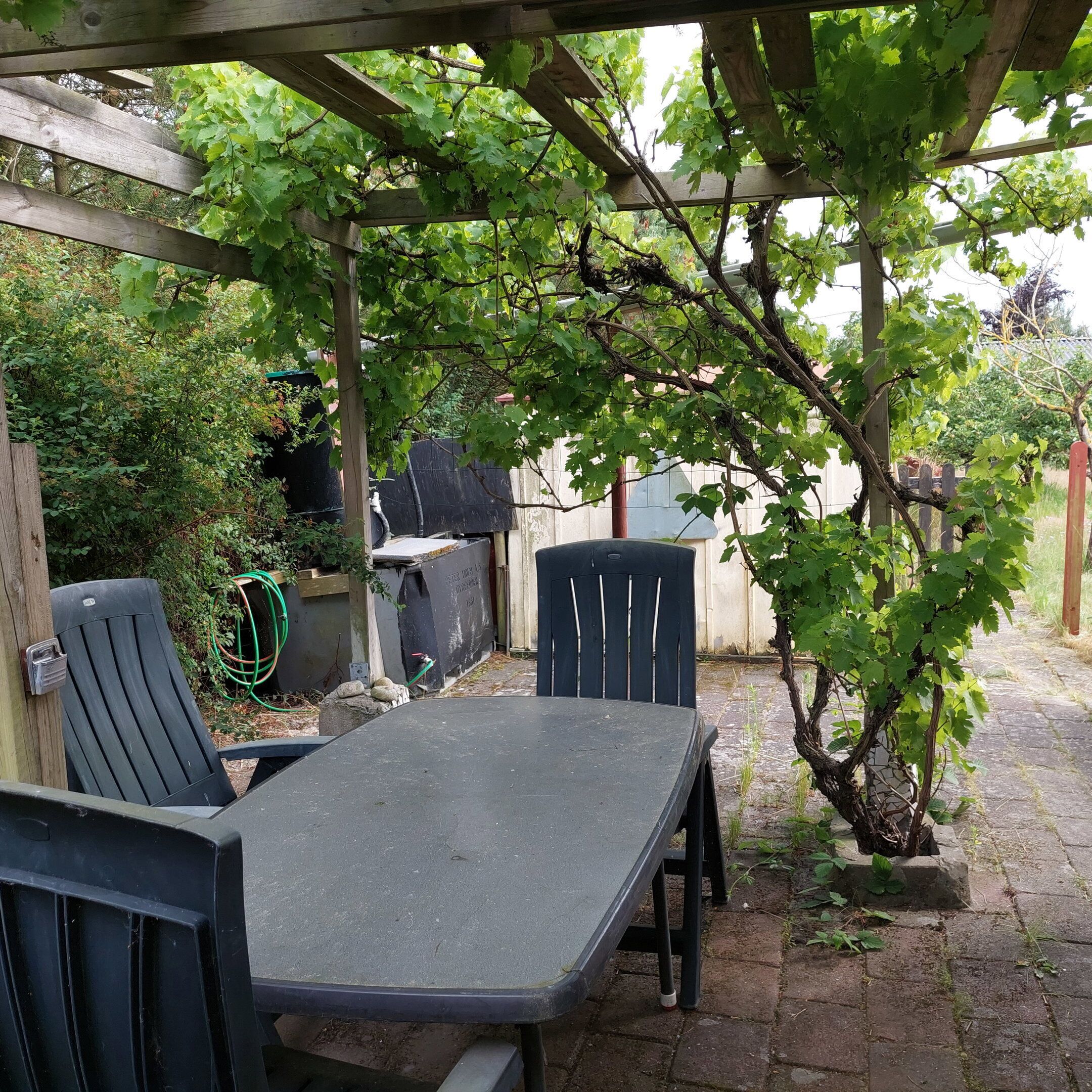 Ein überdachter Außenbereich mit Tisch und Stühlen, umgeben von Pflanzen und einer Pergola.