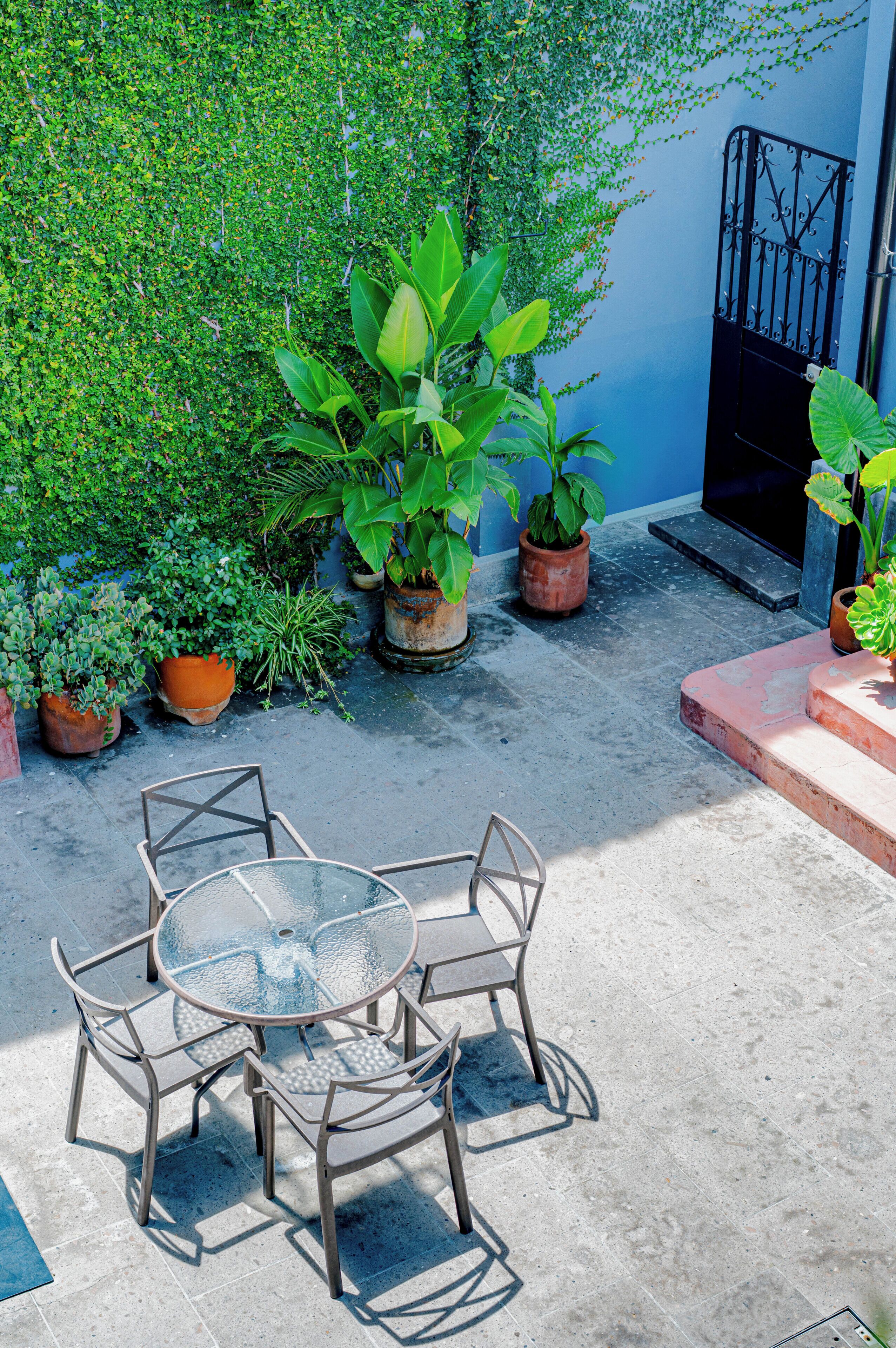Une terrasse avec une table en verre et des chaises en métal, entourée de plantes en pot et d’un mur bleu.