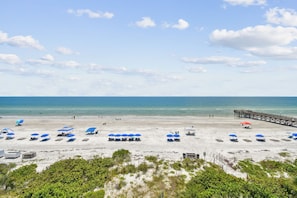 A beach with rows of blue umbrellas, a pier, and a sandy shore. - Ocean View Retreat at Beach Palms (Indian Shores)