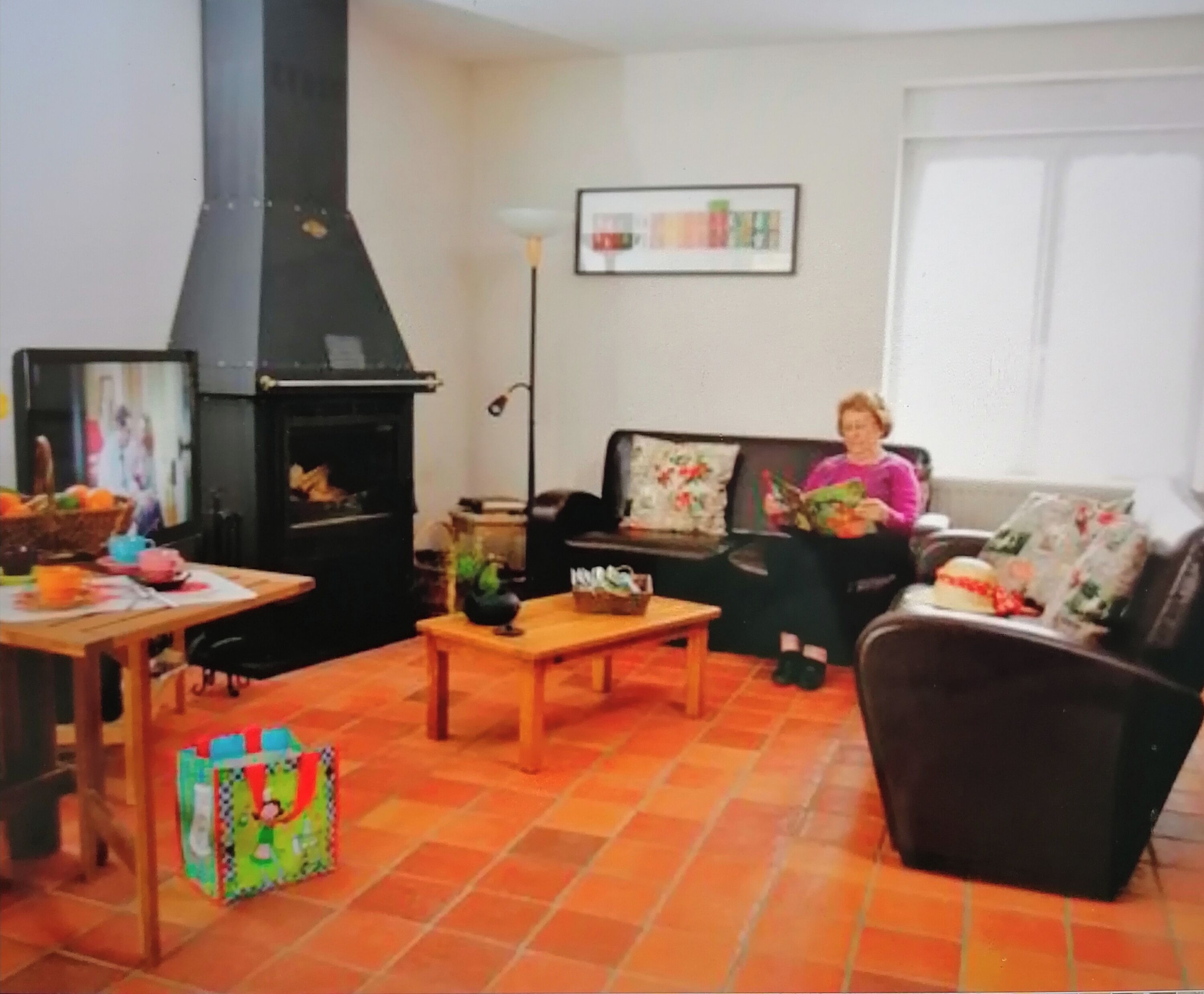TV, fireplace, video games, DVD player