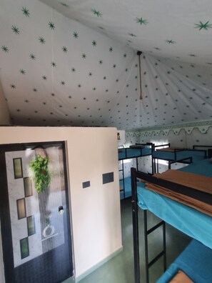 A room with bunk beds, a hanging plant, and a patterned ceiling.