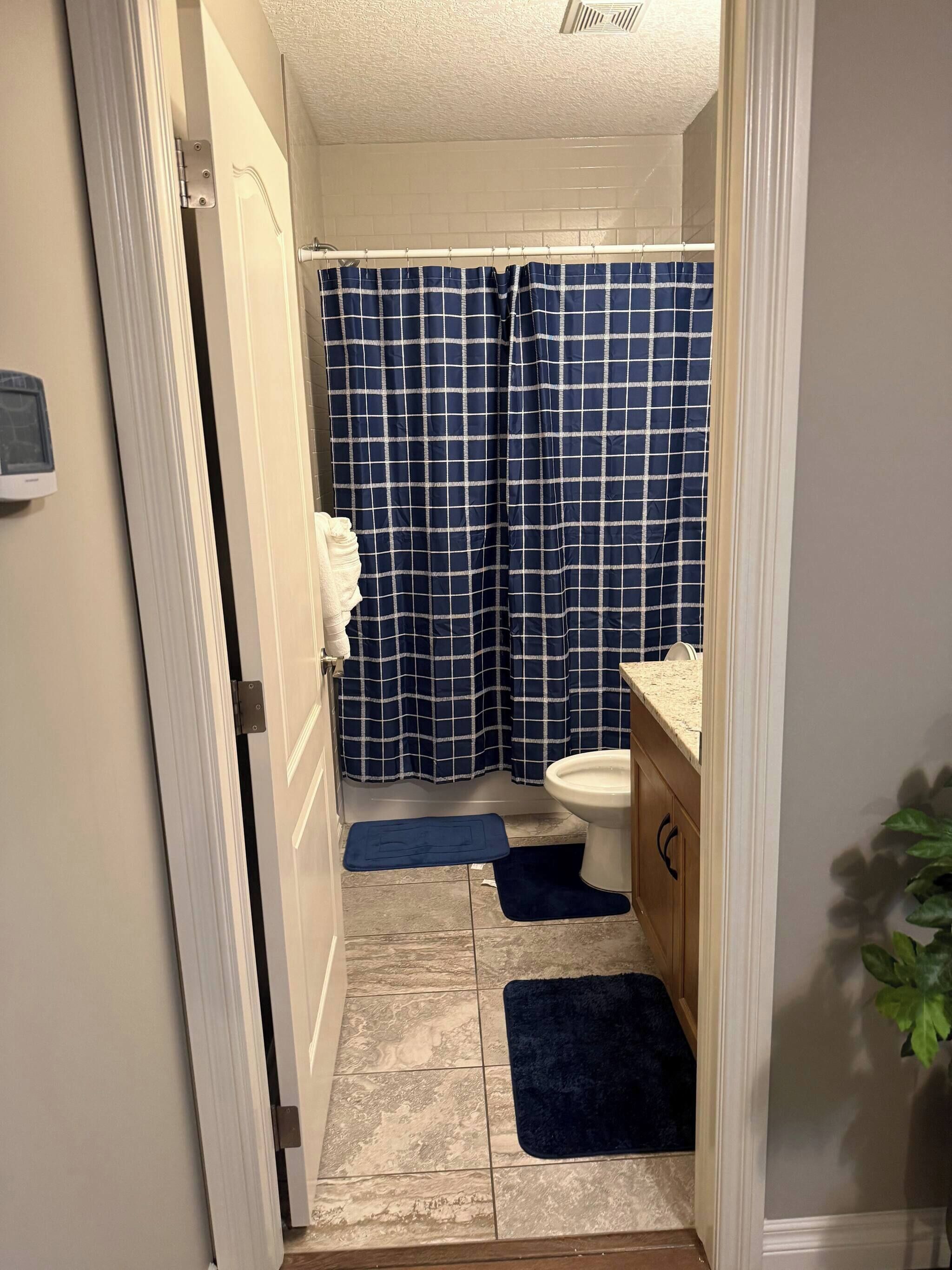 Ein Badezimmer mit blauer Karoschranke, einer weißen Toilette und einem Holzschrank.